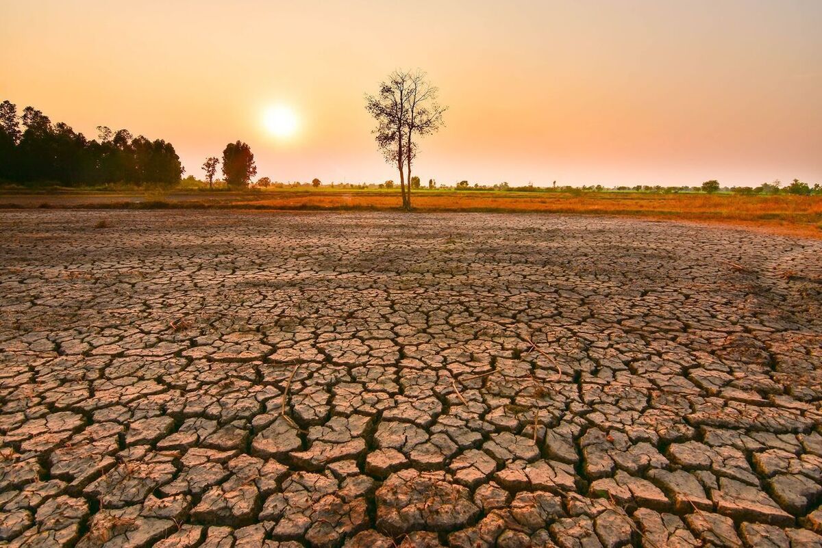 تشدید خشکسالی های ایران از 30 سال گذشته آغاز شده است