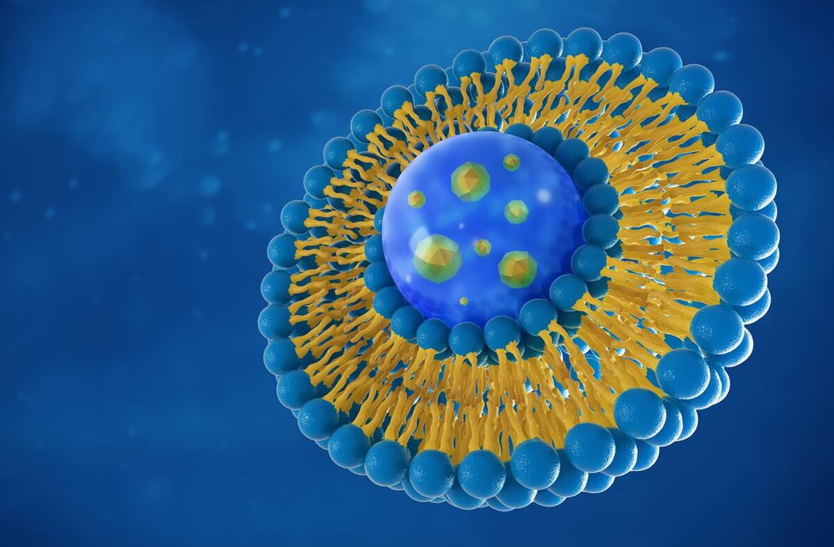 تومورهای سرطانی با سامانه دارورسانی هدفمند نانولیپوزومی قابل درمان است