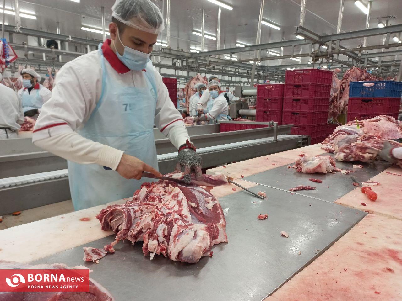 توزیع مستمر و افزایشی گوشت وارداتی گوسفند صف بازارها را جمع کرد