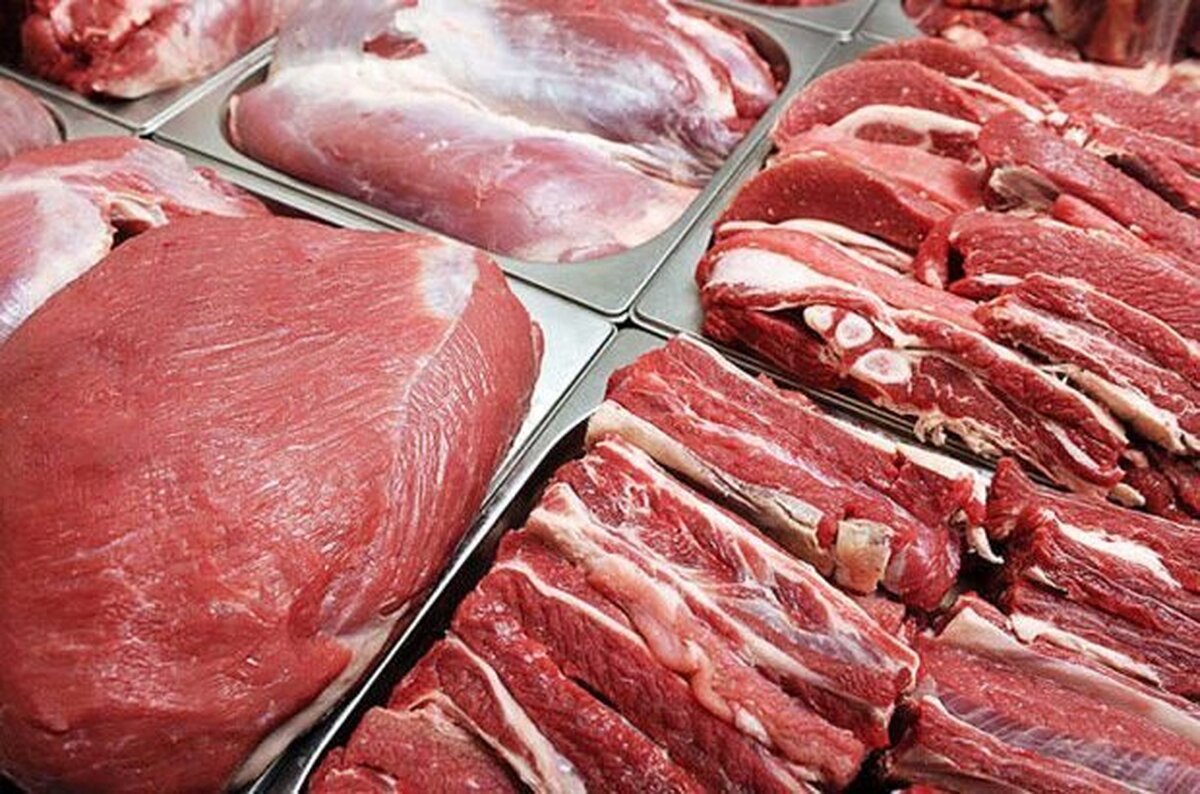 برادری: عرضه مرغ و گوشت منجمد تنظیم بازار در استان تهران آغاز شد