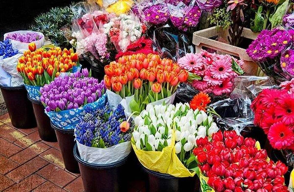 بازار گل شادمان آماده خدمت رسانی به شهروندان منطقه 2 تهران