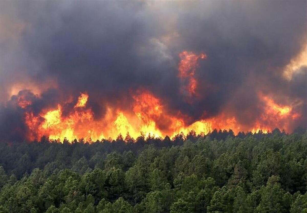 آتش‌سوزی وحشتناک جنگل‌ها در چین + ویدئو
