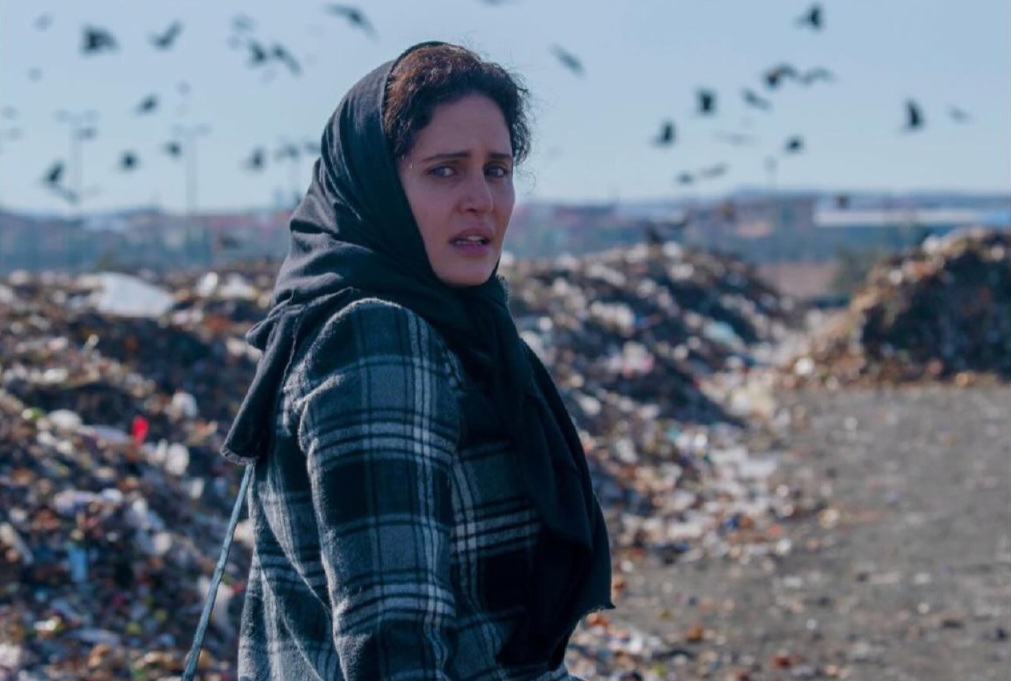 ////معرفی فیلمهای اکران نوروز/ از «تمساح خونی» جواد عزتی تا «بیبدن» ////معرفی فیلمهای اکران نوروز/ از «تمساح خونی» جواد عزتی تا «بیبدن»