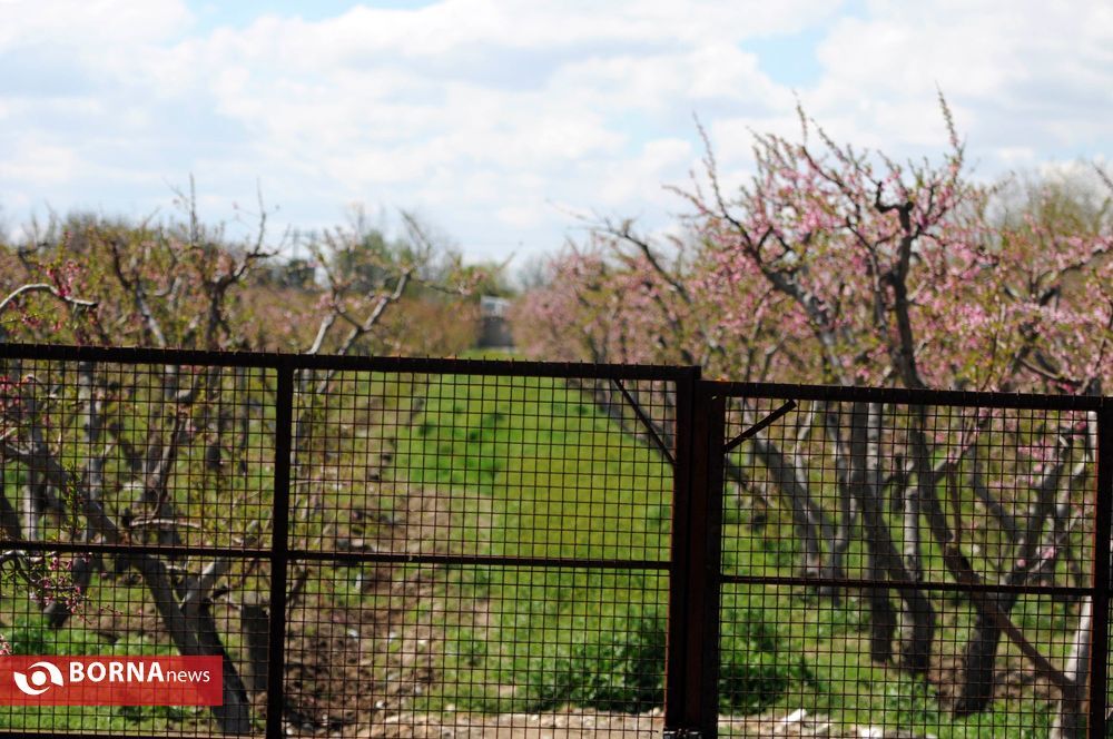 روستاهای شهرستان شهریار در بهار روستاهای شهرستان شهریار در بهار