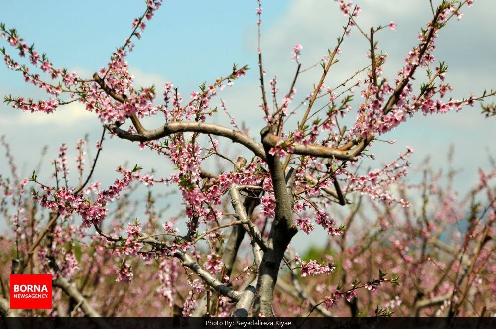 روستاهای شهرستان شهریار در بهار روستاهای شهرستان شهریار در بهار