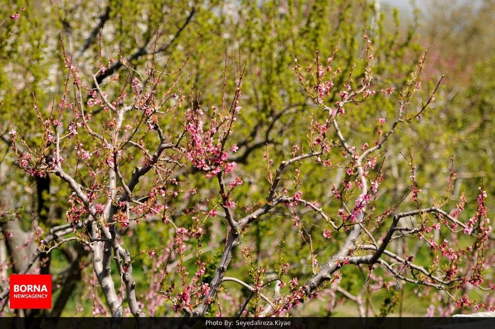 روستاهای شهرستان شهریار در بهار روستاهای شهرستان شهریار در بهار