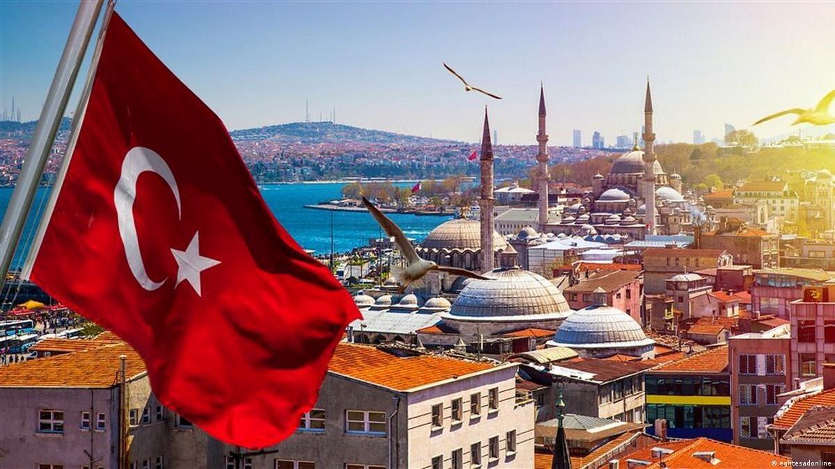 رفیعی: بیش از ۲.۵ میلیون ایرانی در سال به ترکیه سفر می‌کنند