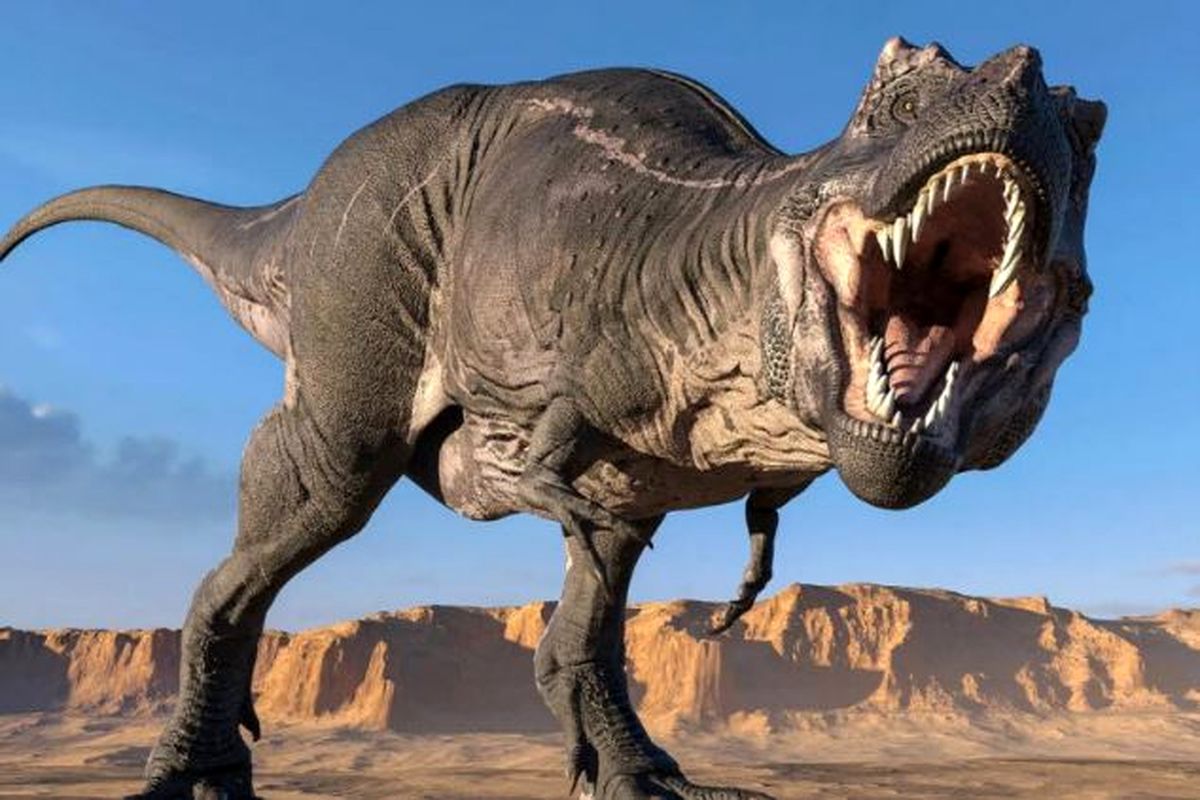 نسل جدید دایناسورهای گوشت‌خوار کشف شد