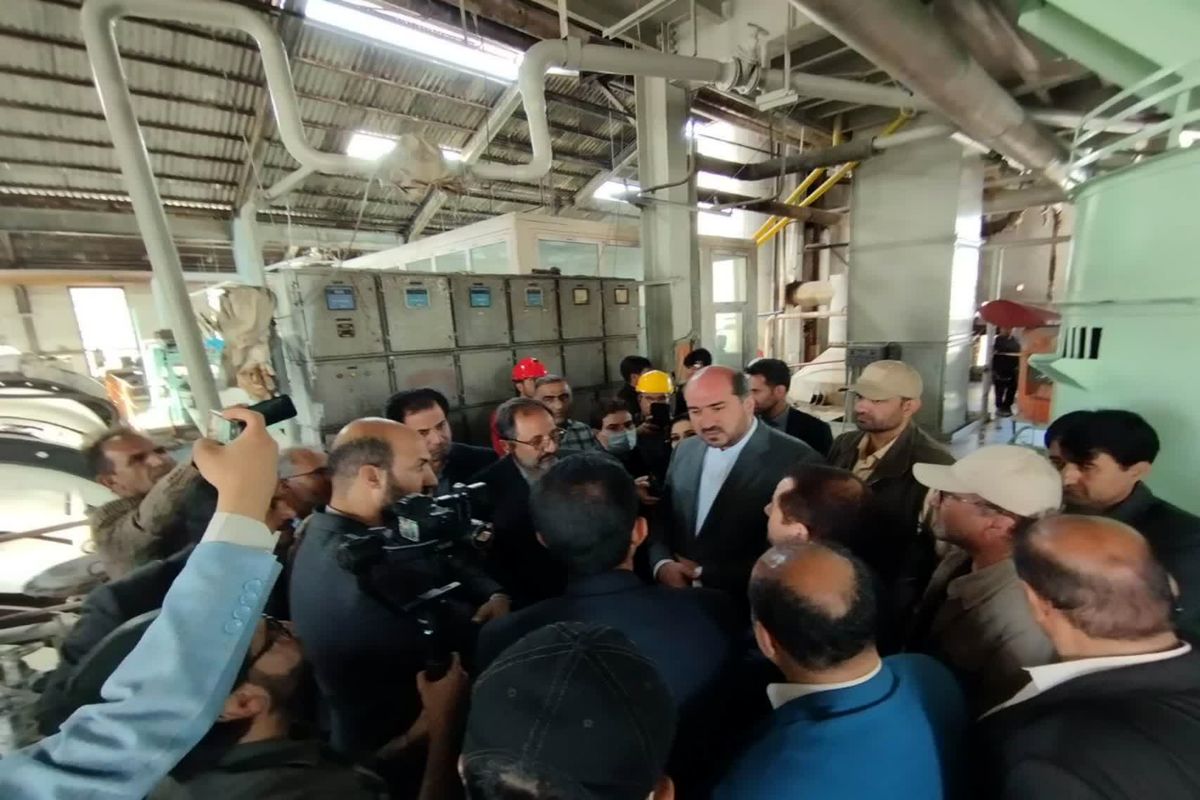 محسن منصوری : دولت مصمم بر بازگشت واحدهای تولیدی راکد به چرخه تولید است