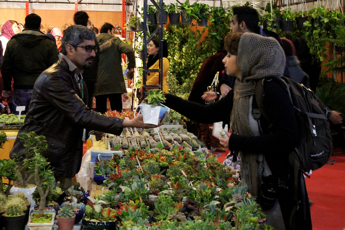 نمایشگاه گل و گیاه در قزوین برگزار می شود