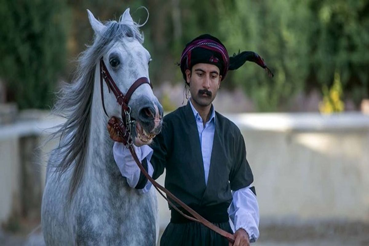 بیستون کرمانشاه میزبان رویداد جهانی اسب کُرد