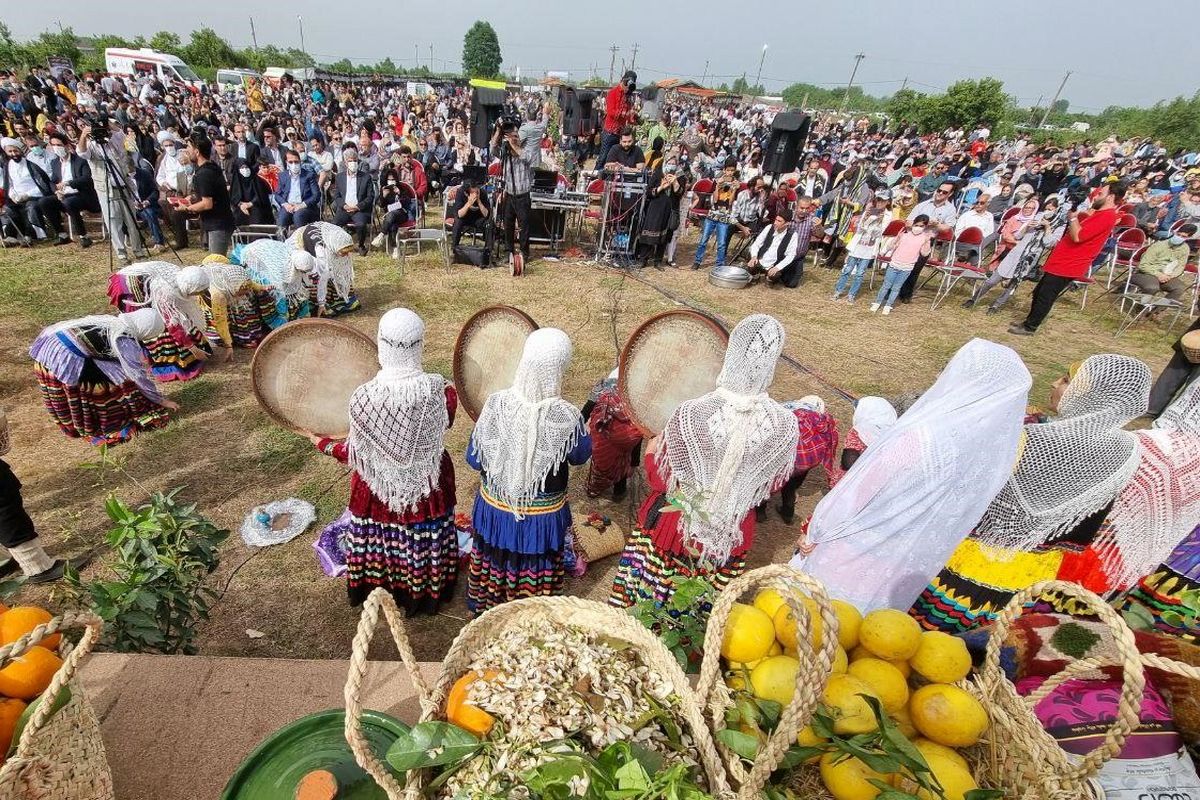 جشنواره بهار‌ نارنج گیلان ثبت ملی شد/ بهار نارنج، جشنواره ای برای نشاط و اشتغال