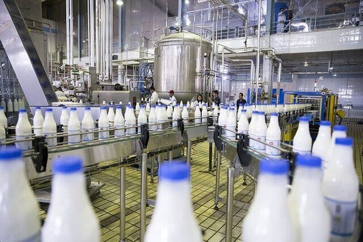 نرخ شیر خام ۱۵ هزار تومان شد/ افزایش ۲ هزار تومانی نسبت به سال گذشته