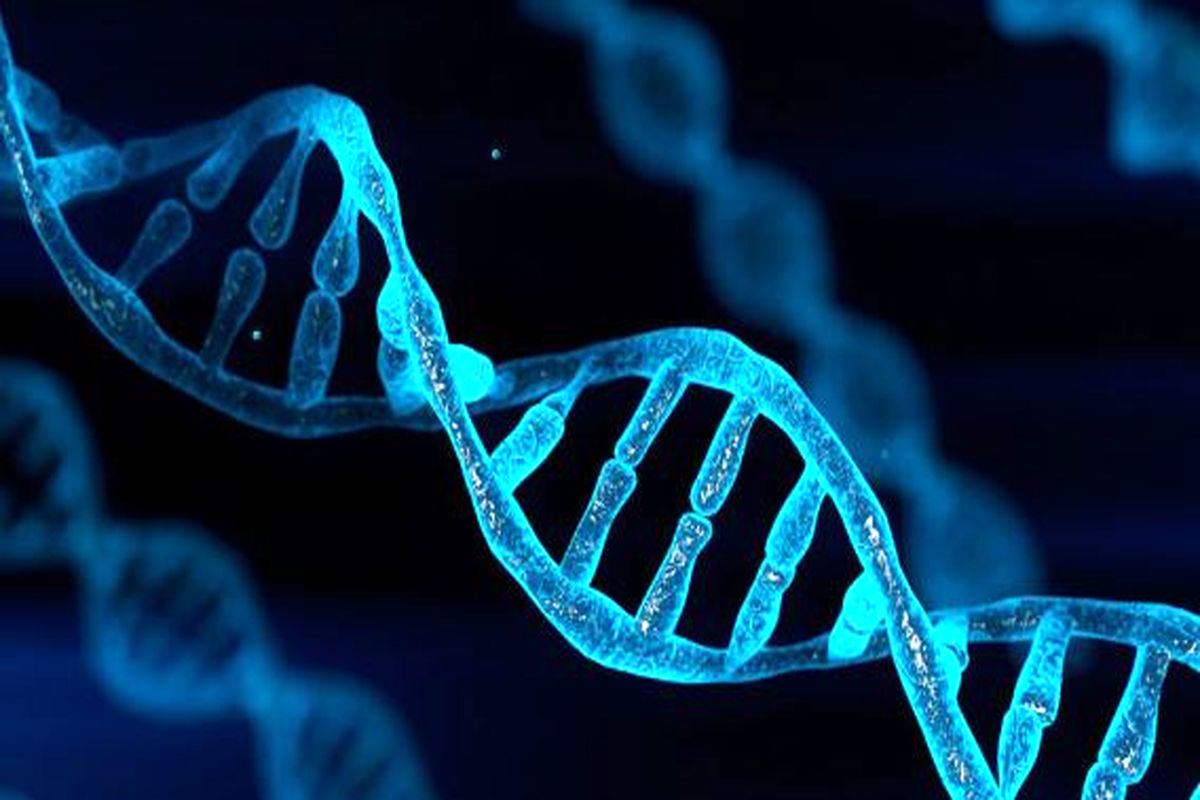 دیتاسنترهای حاوی DNA تا ده‌سال دیگر آغاز به کار می‌کنند