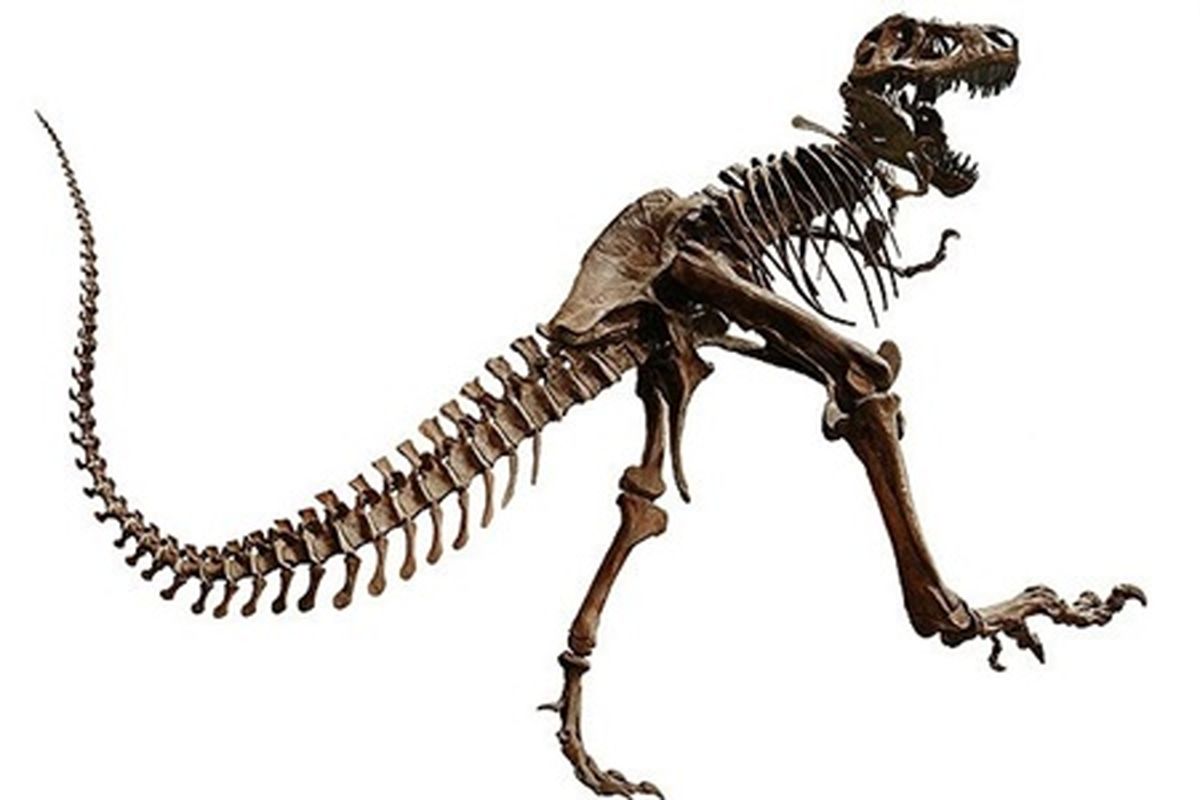 علت اصلی انقراض دایناسورها چیست؟