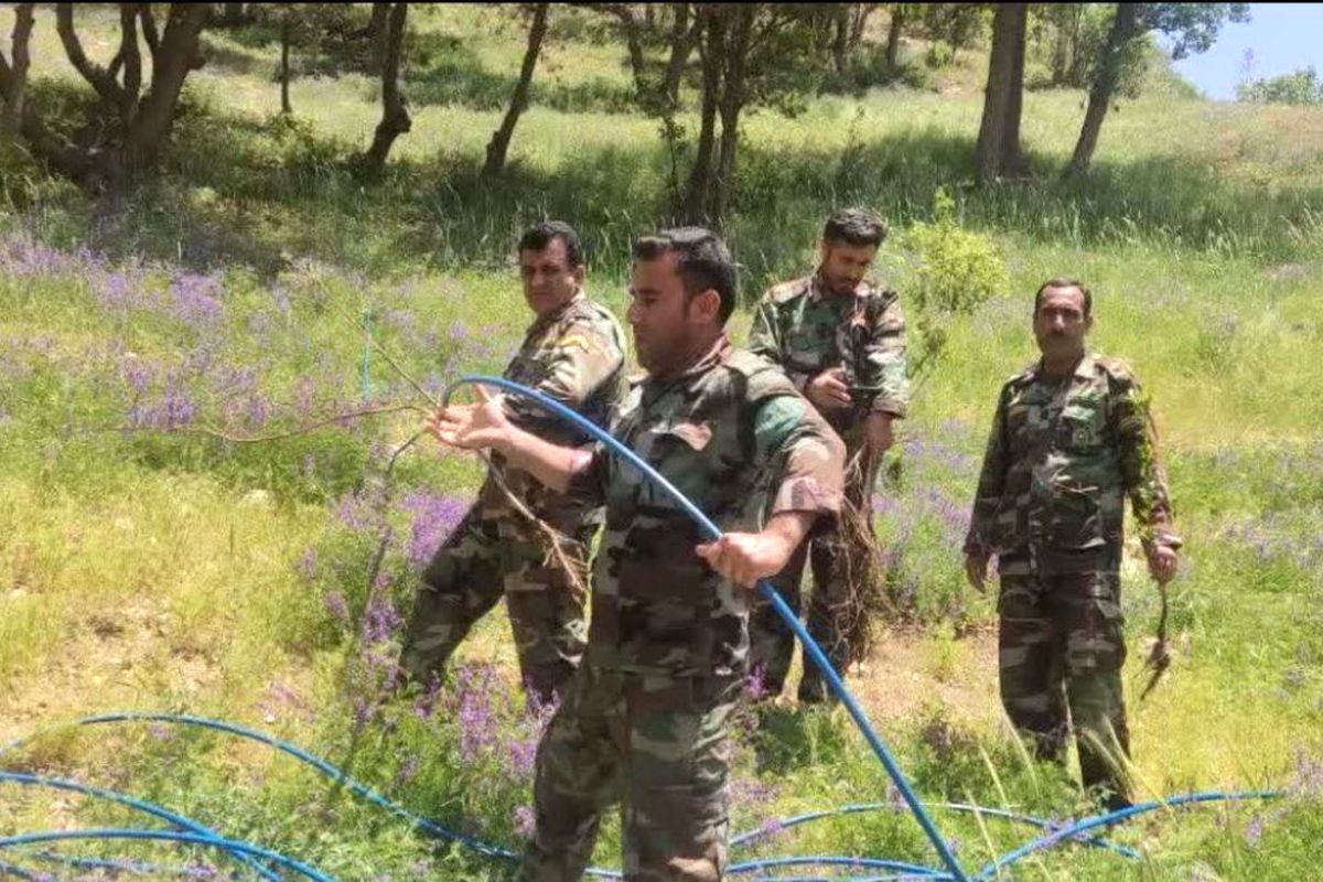 متصرفان منابع ملی در دام قانون/ باز پس گیری ۳ هکتار از اراضی ملی در بویراحمد