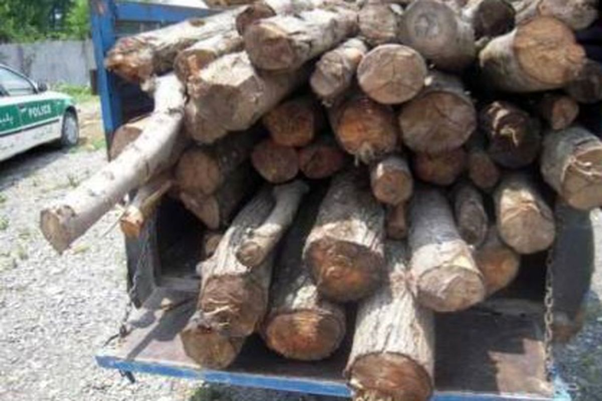کشف ۱۱ تن چوب قاچاق در گچساران
