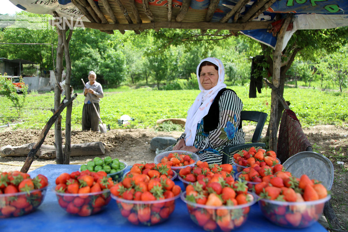 توسعه بخش کشاورزی در کردستان رونق گردشگری را به دنبال دارد