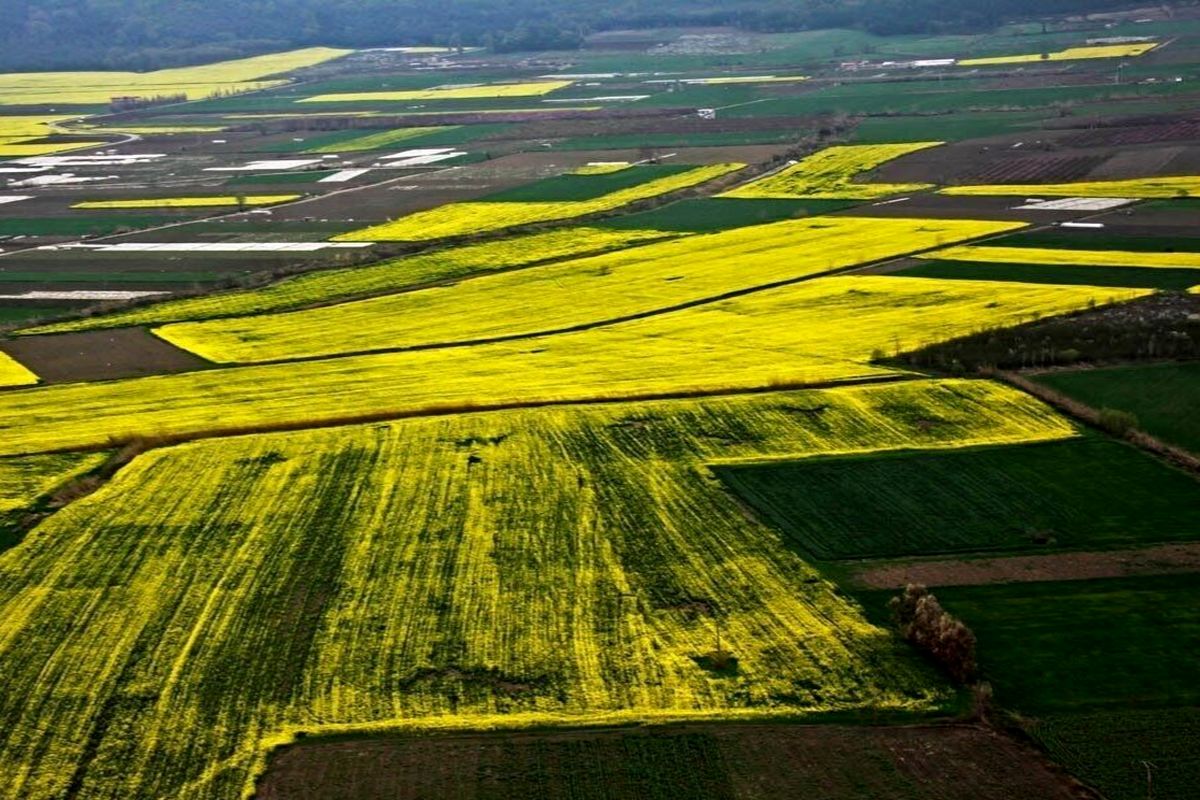 آغاز طرح ایجاد کمربند حفاظتی در ۱۰ هکتار از مراتع کهگیلویه و بویراحمد