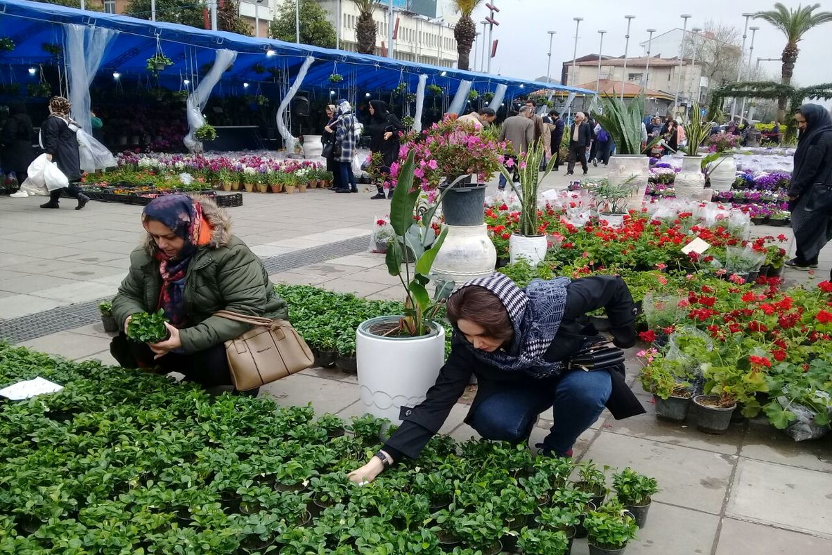 ایجاد ۲۵ طرح بنگاهی گل و گیاه بنیاد برکت در استان مرکزی