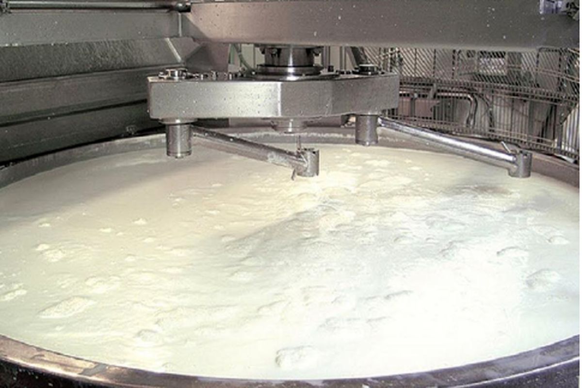 مروری جامع بر روند ساخت پنیر سفید