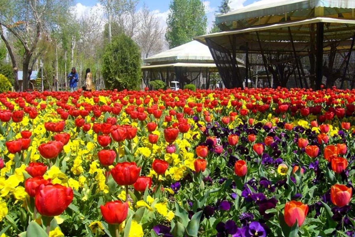 بازدید بیش از ٣٠ هزار نفر در تعطیلات عید فطر از باغ گلهای کرج