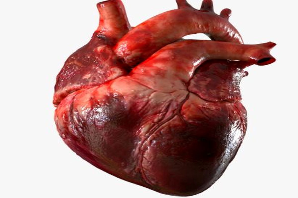 مهندسی بافت قلب به کمک صفحات سلولی؛ گامی جدید در پزشکی بازساختی