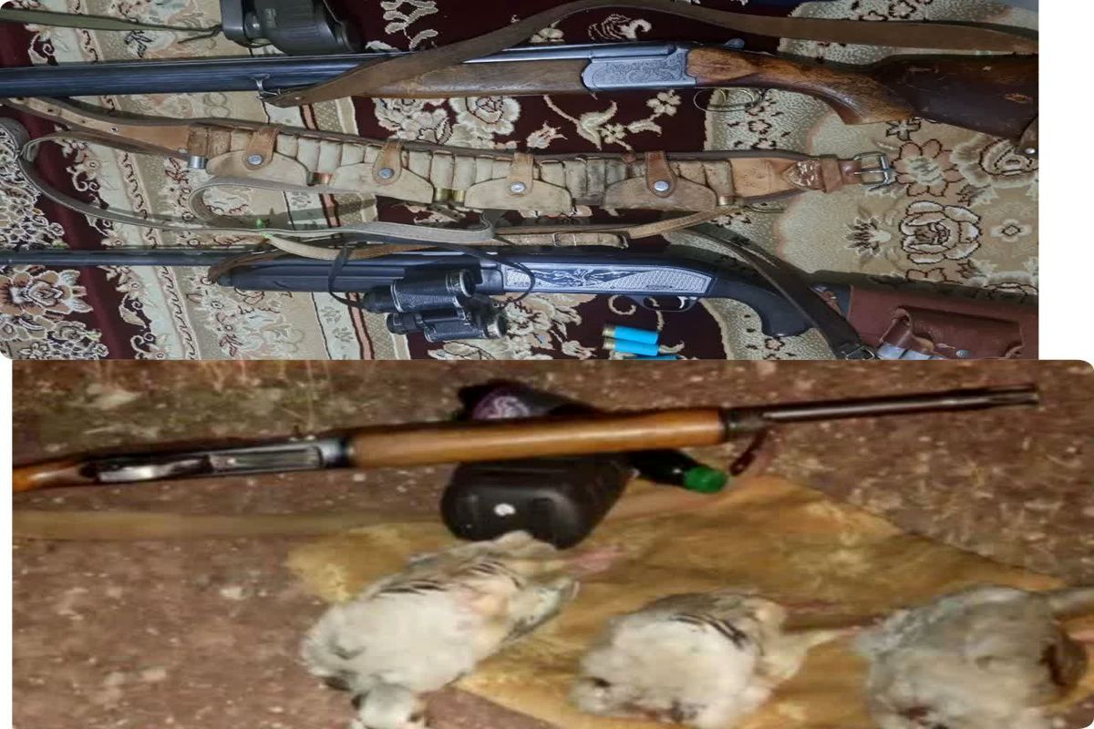 کشف و ضبط ۳ قبضه سلاح در ذخیرگاه زیست کره دنا