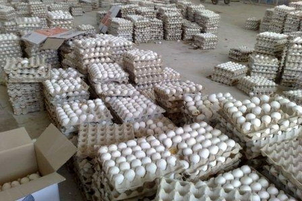 کشف و ضبط بیش از ۱۵۰۰ کیلوگرم تخم مرغ فاقد هویت بهداشتی در اهواز