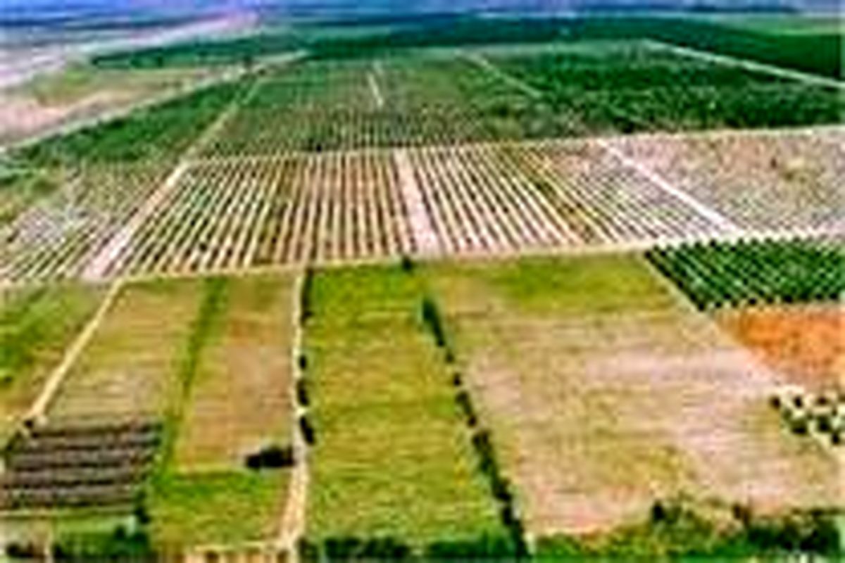 ۱۲۰ هکتار به اراضی کشاورزی مستثنیات مردم روستای ماهین در طارم اضافه شد