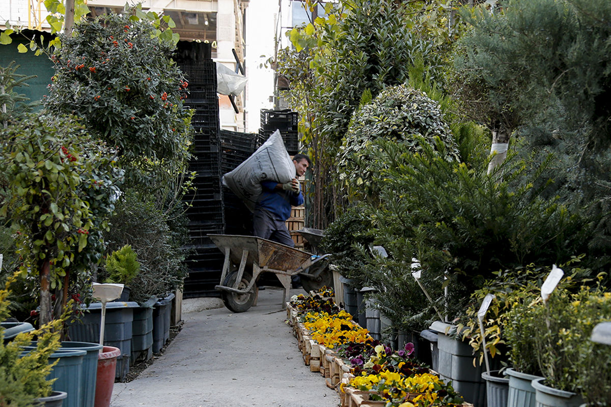جمع آوری سازه‌های ناایمن «بازار گل و گیاه مهرآباد» با دستور قضایی