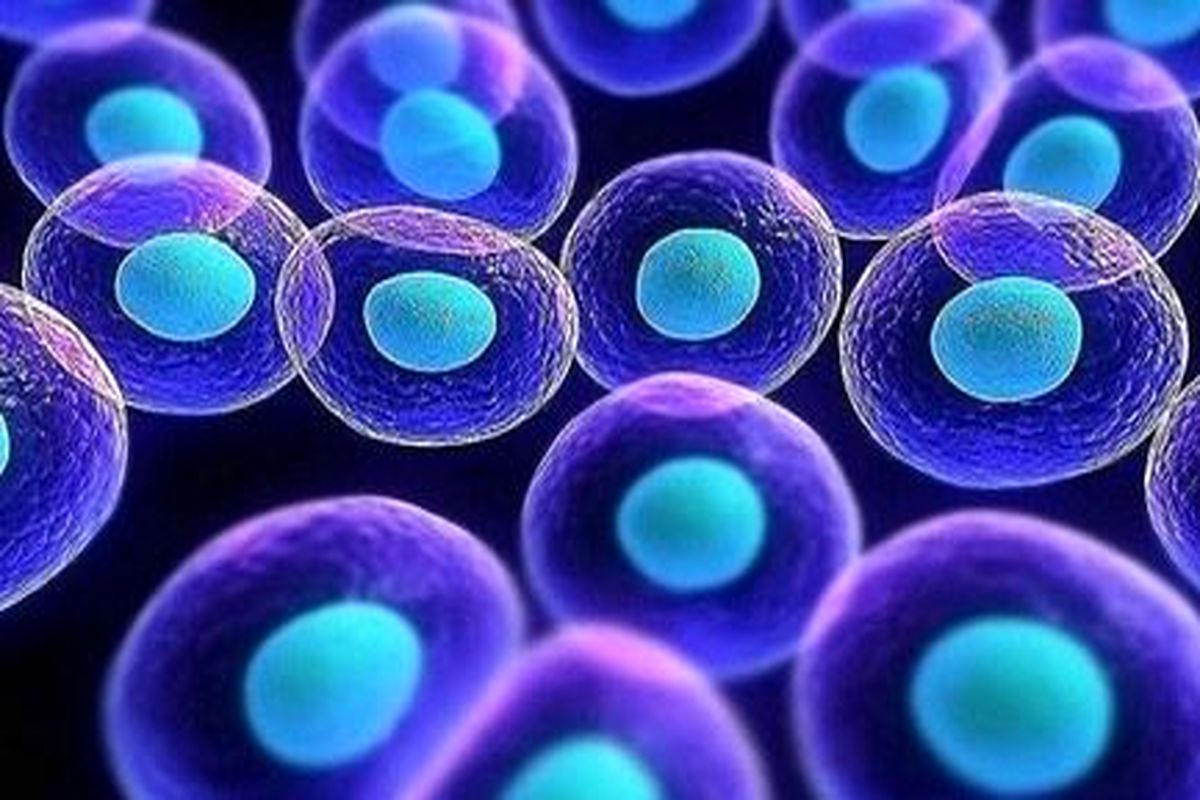 معرفی روش‌های نوین سلول درمانی و پزشکی بازساختی به پژوهشگران