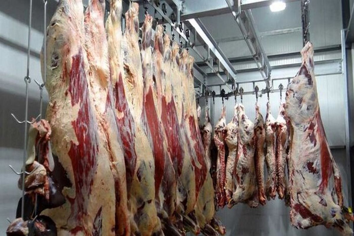 تعطیلی کشتارگاه دام در دره شهر