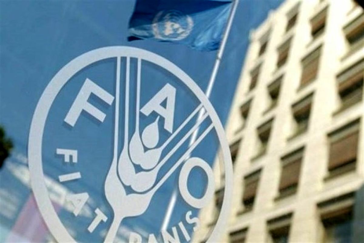 فائو: ایران بزرگ‌ترین صادرکننده لبنیات در آسیا شد