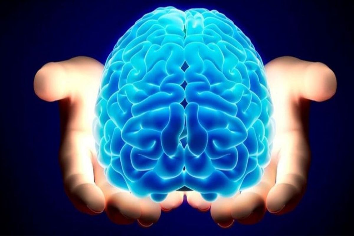 ۴ عامل اصلی کوچک شدن مغز