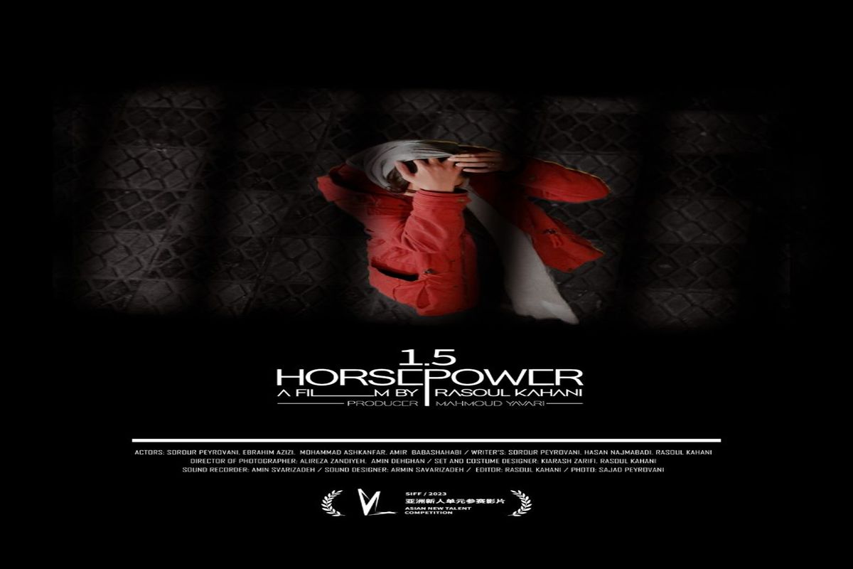«یک و نیم اسب بخار» نامزد دریافت چهار جایزه از جشنواره شانگهای شد