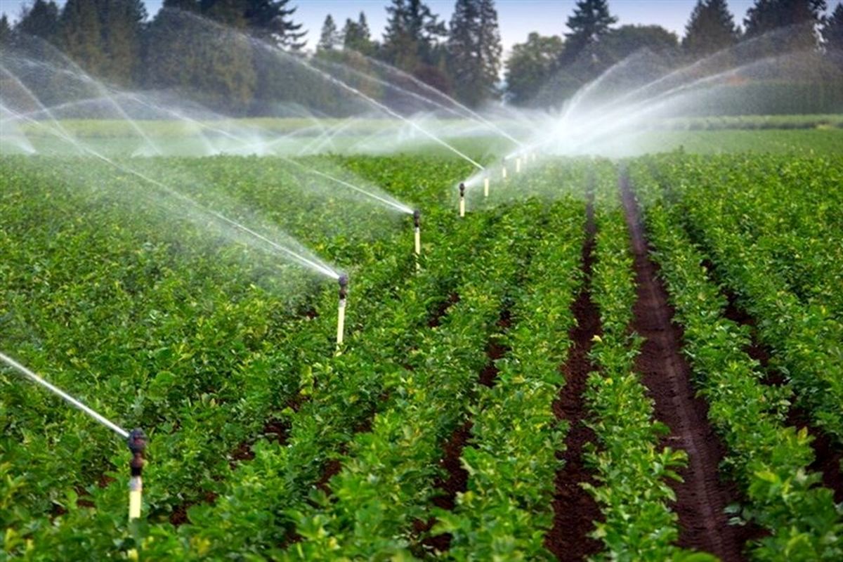 پیش بینی کاهش ۶ درصدی مصرف آب بخش کشاورزی در سال زراعی جاری