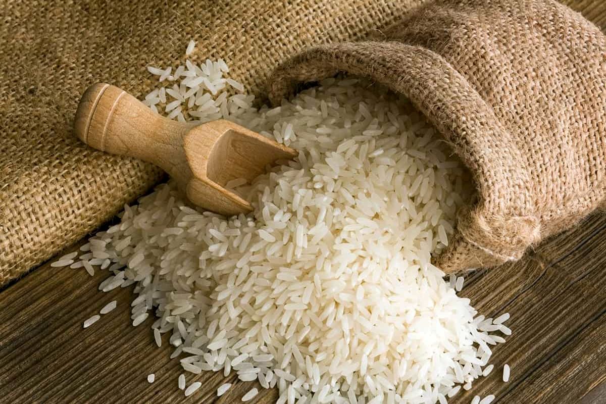 فاضلاب تصفیه شده تولید برنج را افزایش می‌دهد!