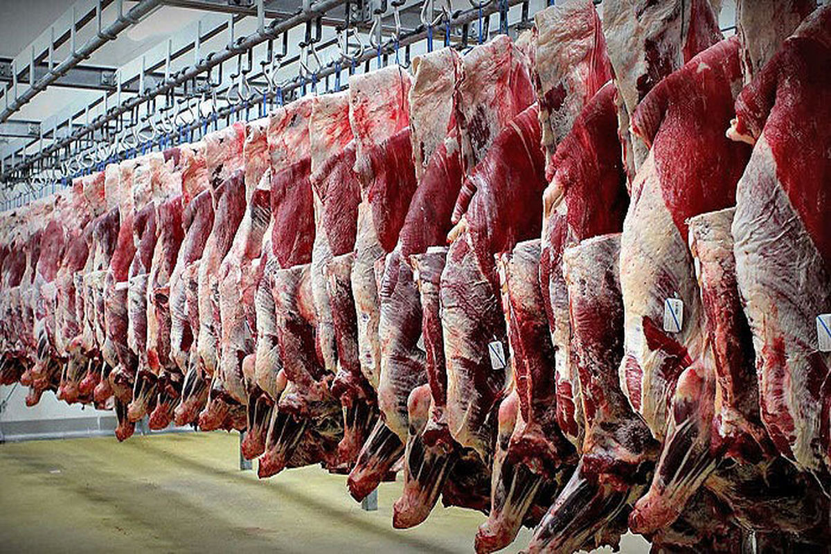 جریمه ۲۱ میلیارد ریالی محتکر گوشت در همدان