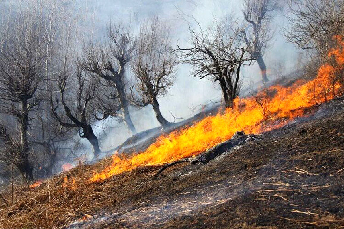 احتمال آتش سوزی در جنگل ها و مراتع گلستان/ طبیعت گردان مراقبت کنند