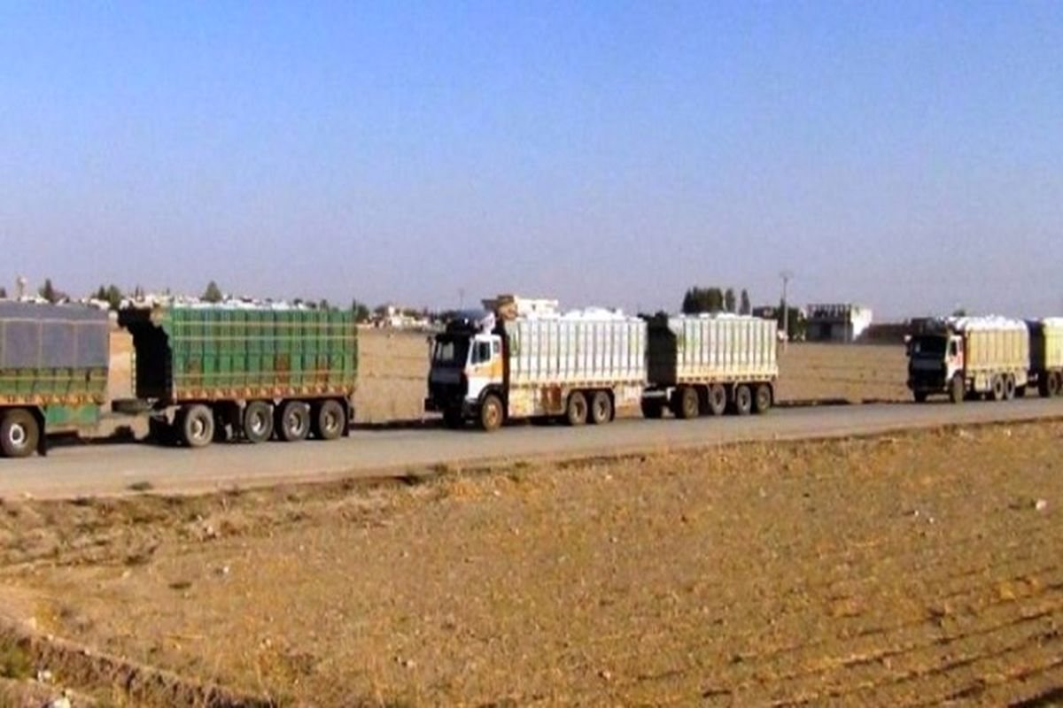 خرید تضمینی گندم در استان کرمانشاه ۲۳ درصد افزایش یافت