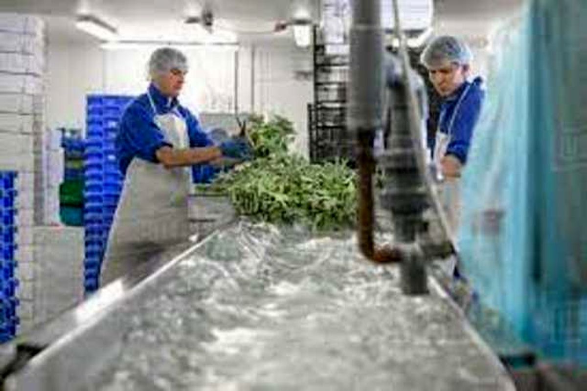 افتتاح اولین کارگاه صنعتی تولید عرقیات و اسانس گیاهان دارویی در رامهرمز