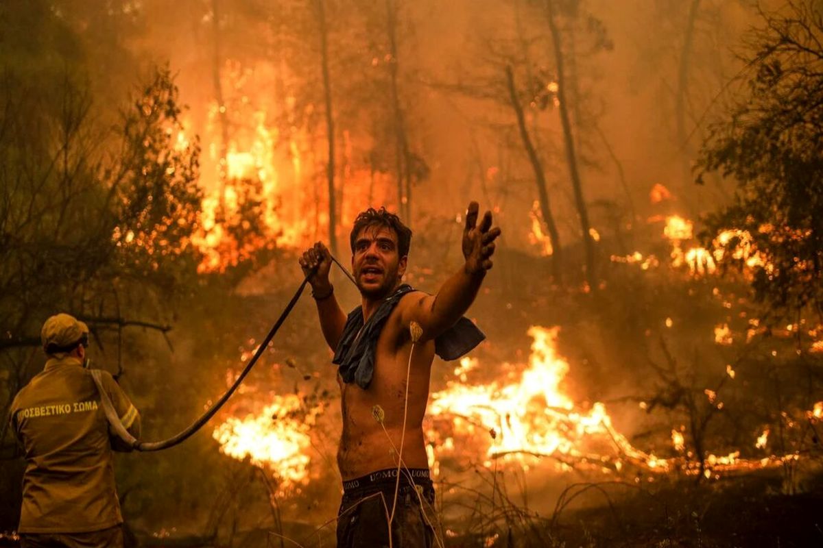 شناسایی هشت نفر از عاملان آتش سوزی در جنگل های کهگیلویه و بویراحمد