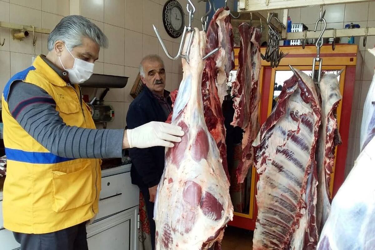 هشت هزار تن گوشت و فرآورده گوشتی ناسالم در استان سمنان معدوم شد