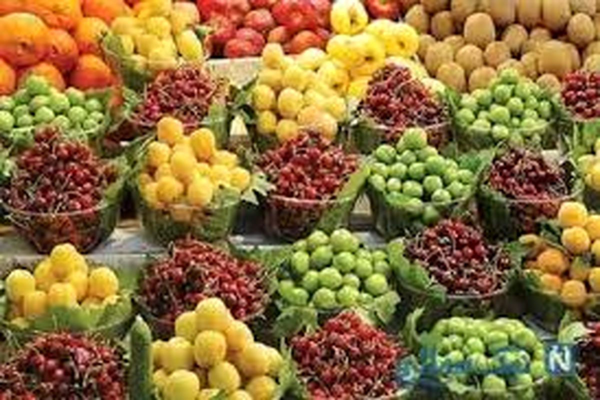 گیلاس گران قیمت ترین میوه تابستانی در بازارهای میوه و تره بار است
