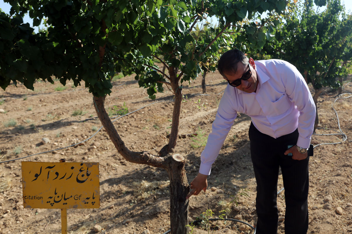 نی ریز دارنده اولین صندوق حمایت از توسعه بخش کشاورزی در فارس