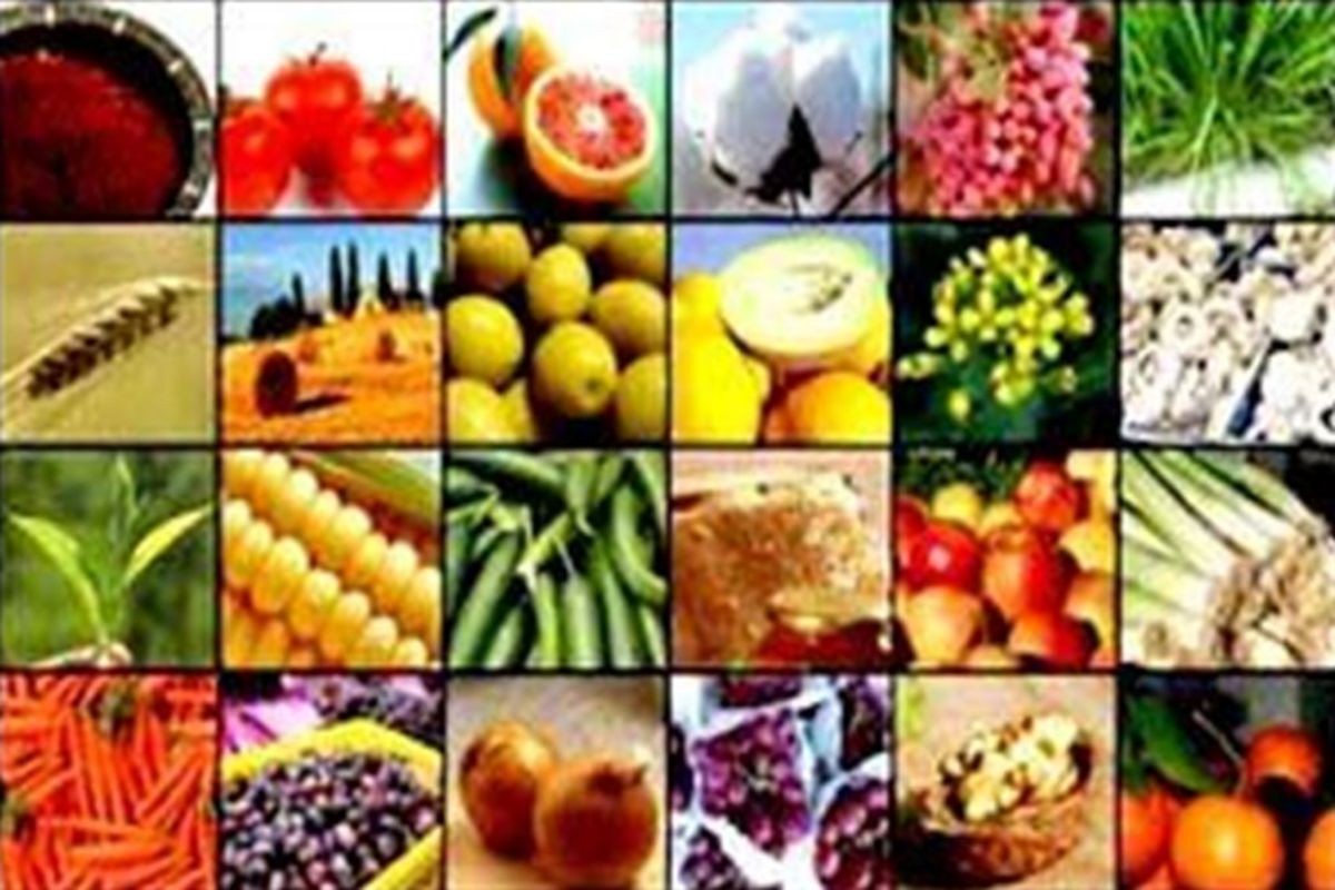 ۱۸ نوع محصول کشاورزی سالم در استان قزوین تولید می شود