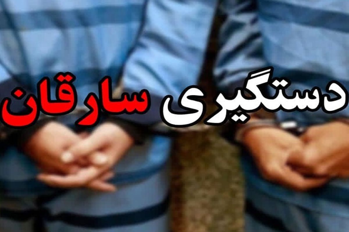 دستگیری باند سارقان اماکن خصوصی در طبس