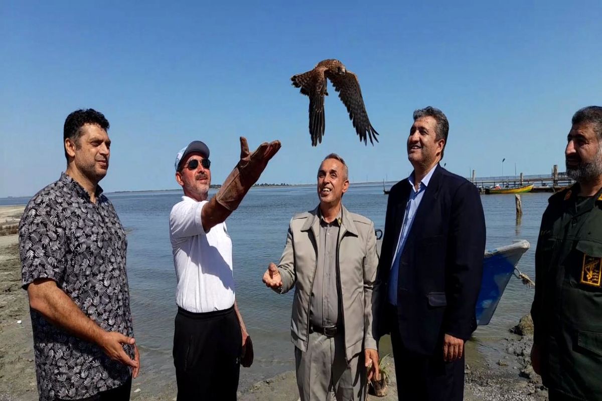 پاروزنی جانباز جنگ تحمیلی در دریای خزر با شعار حفظ محیط زیست