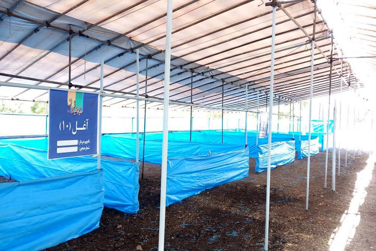 جایگاه موقت عرضه و ذبح بهداشتی دام در خیابان شاه آبادی آماده شد